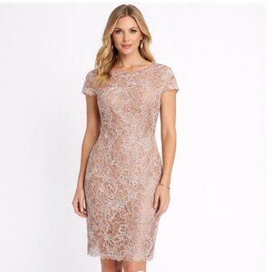 TADASHI SHOJI size 6 nude lace cap sleeve cocktail formal dress NWT